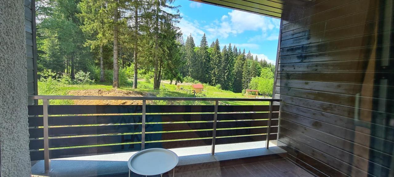 Fabulous Views Silver Mountain 3 Rooms Apartment ポイアナ・ブラショフ エクステリア 写真