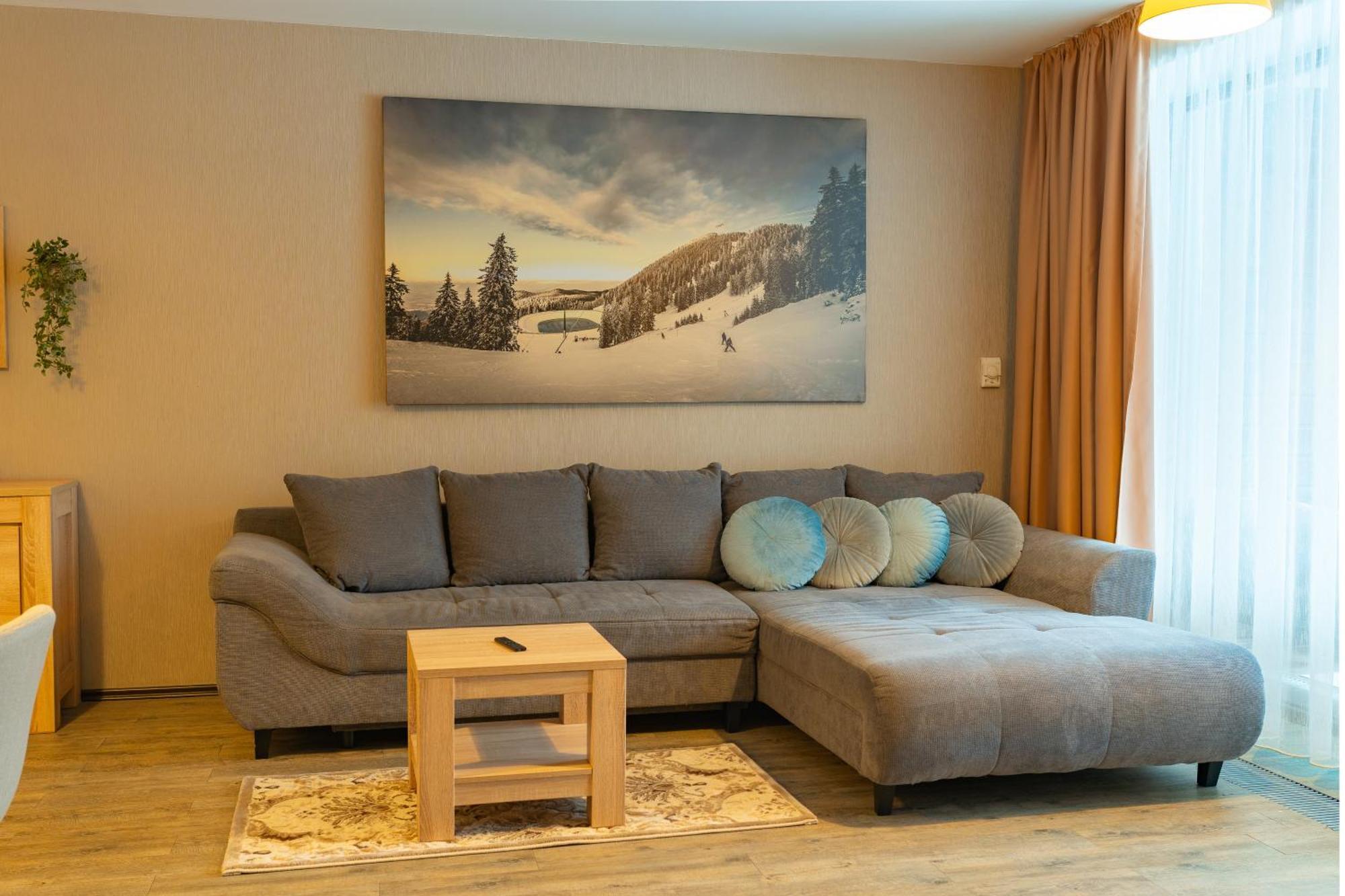 Fabulous Views Silver Mountain 3 Rooms Apartment ポイアナ・ブラショフ エクステリア 写真